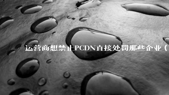 运营商想禁止PCDN直接处罚那些企业（包括屏蔽他们的服务器）不就行了，为什么要监控我们宽带使用者呢？