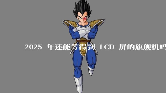 2025 年还能等得到 LCD 屏的旗舰机吗？