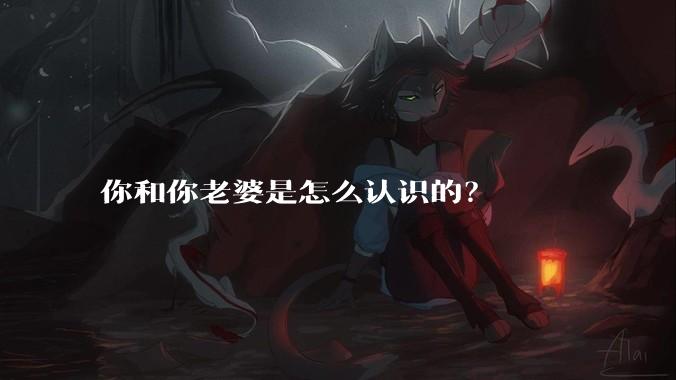 你和你老婆是怎么认识的？