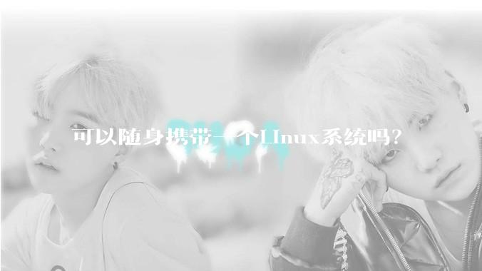 可以随身携带一个Linux系统吗？