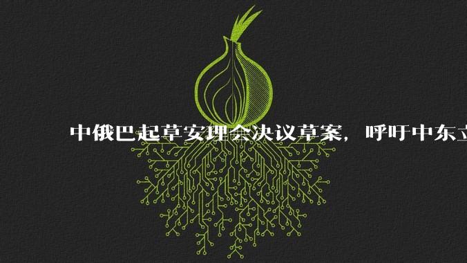 中俄巴起草安理会决议草案，呼吁中东立即停火，该草案会被通过吗？联合国决议对伊以双方有实质影响吗？