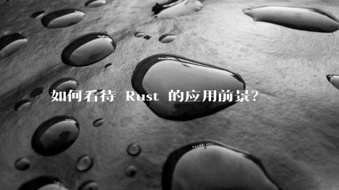 如何看待 Rust 的应用前景？